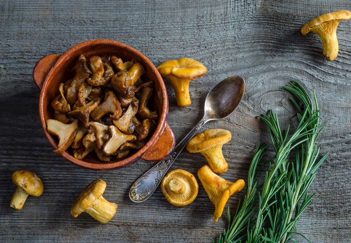 Chanterelle mushrooms with rosemary and spoon on wood