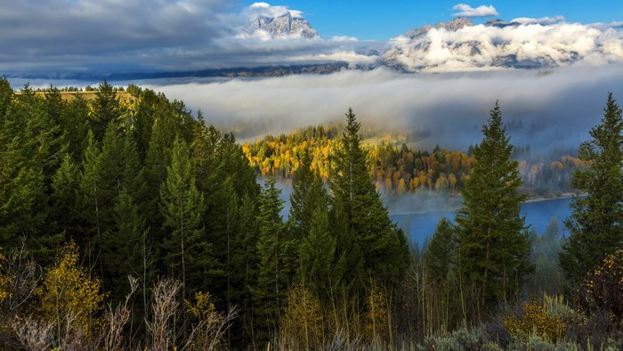 Autumn Foggy Mountain Scenery with Forest and Lake