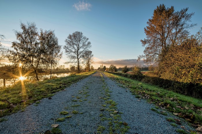 Gravel path by a lake at sunrise with autumn trees