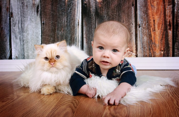 Baby and Cat on Wooden Floor