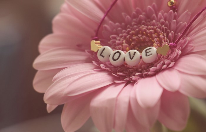 Pink Gerbera Daisy with "LOVE" Bracelet