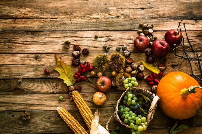 Autumn harvest on wooden planks with pumpkin, grapes, apples, and corn