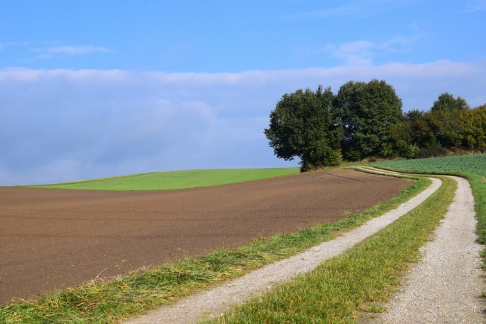 Fields and Roads under a Blue Sky