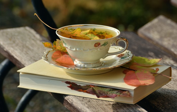 Cup of tea with autumn leaves on a book