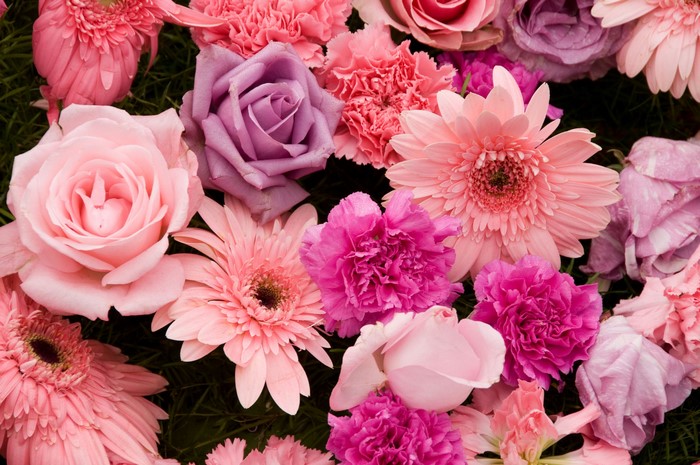 Pink and purple flowers including roses, gerberas, and carnations
