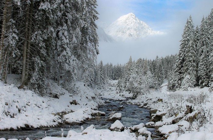 Winter forest with stream and snow-covered mountain