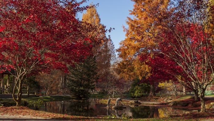 Gibbs Gardens in Autumn with Pond and Trees