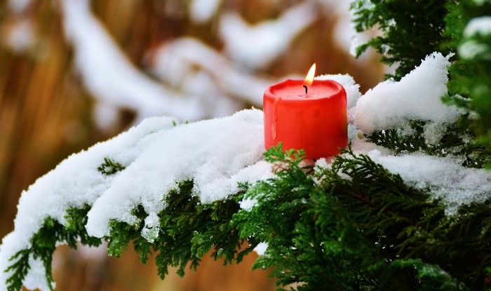 Red candle on a snow-covered branch