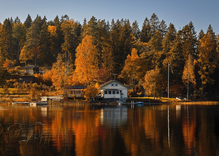 Autumn lake with houses and trees