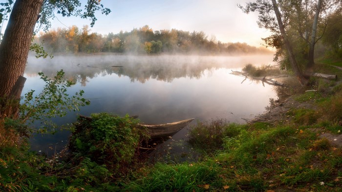 Misty river at sunrise with trees and fog