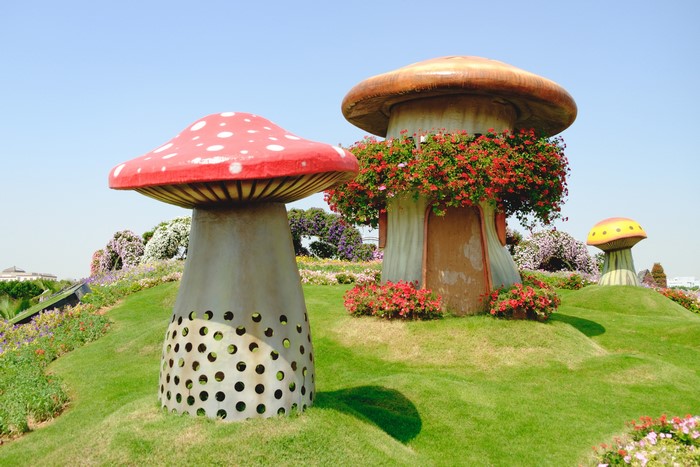 Mushroom sculptures in Miracle Garden, Dubai