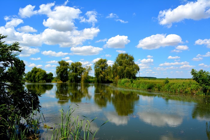 Lake with trees and clouds