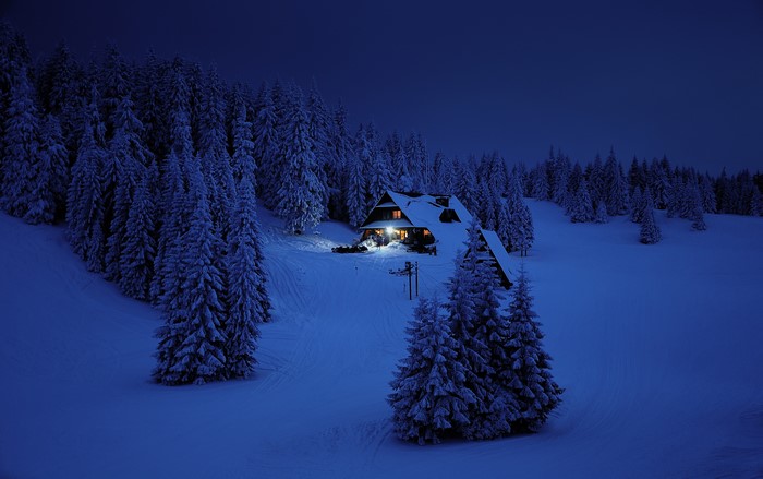 House in a snowy forest at night