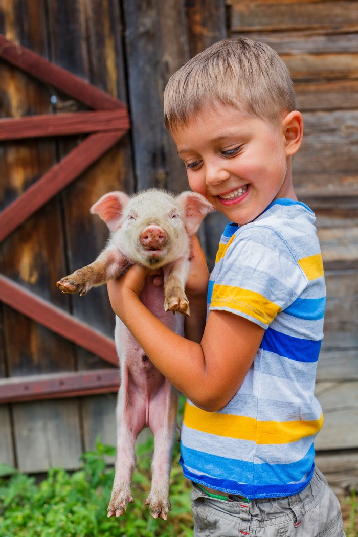 Boy holding a small piglet