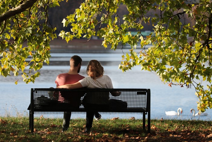 Couple Sitting on a Bench by a Lake