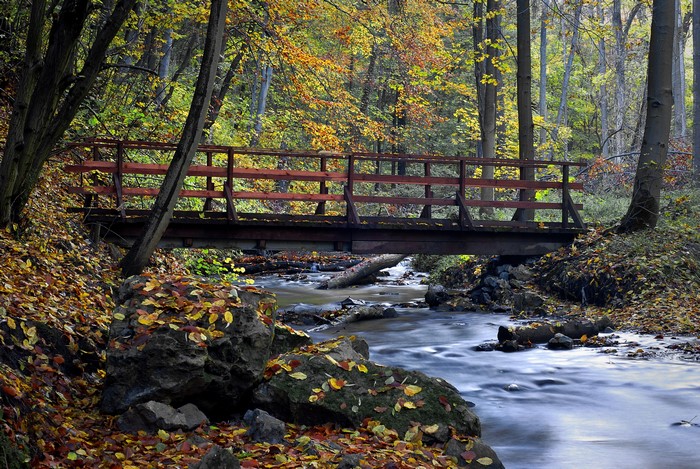 Wooden bridge over a stream in an autumn forest