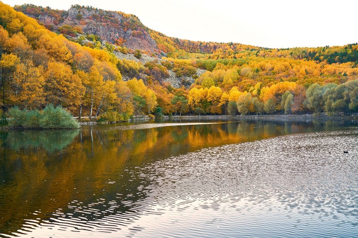 Lake and autumn forest on a rocky mountain