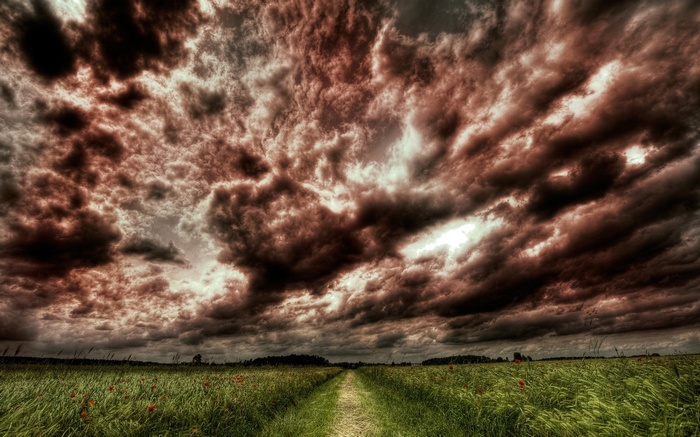 Stormy sky over a field with a path