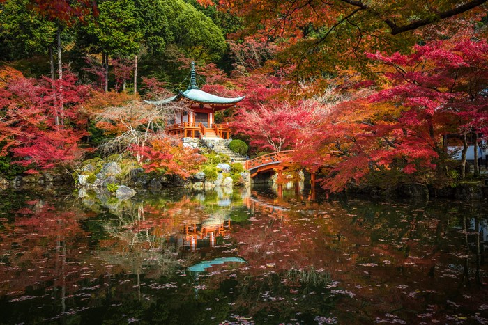 Japanese Pagoda and Bridge in Autumn