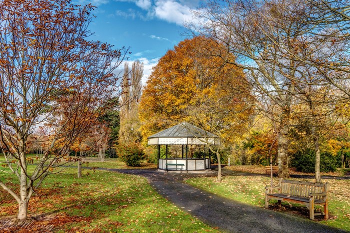 4K, Botanic Gardens, Ireland, Autumn, Gardens, Dublin, Trees, Bench ...