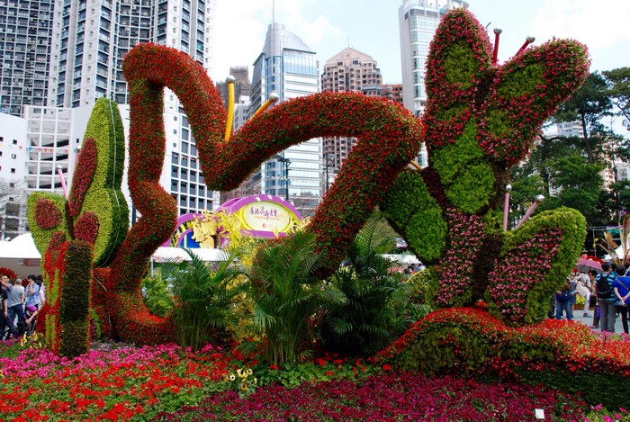 Butterfly topiary in Victoria Park, Hong Kong
