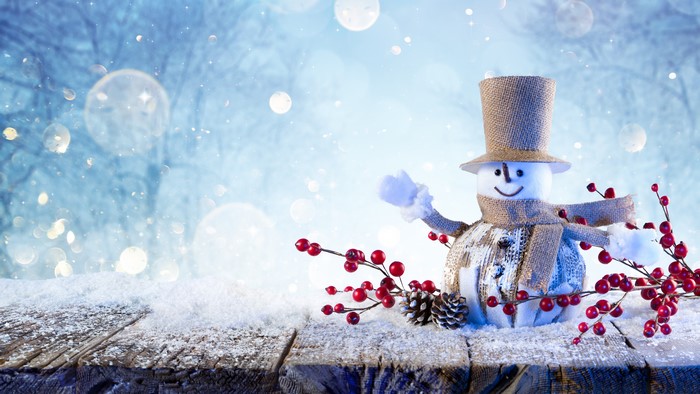 Snowman with hat, scarf, berries, and pine cone