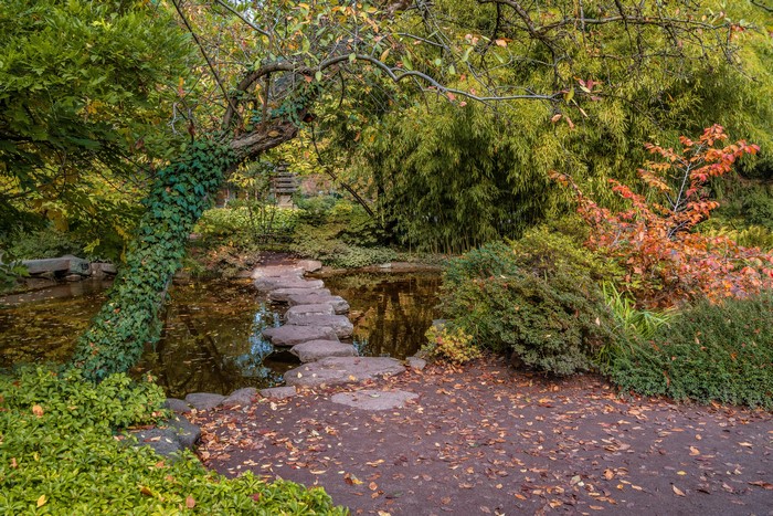 Autumn garden with pond and stepping stones in Karlsruhe, Germany