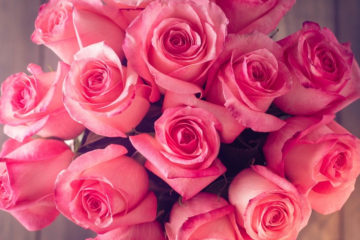 Close-up of a bouquet of pink roses
