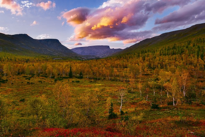 Autumn valley in Khibiny Mountains, Russia