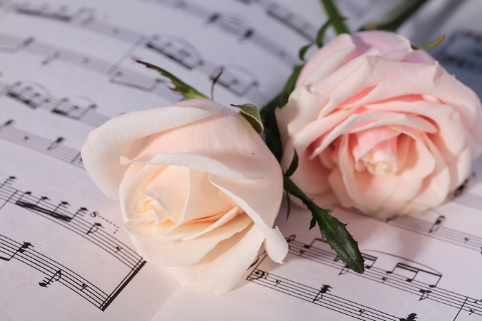 Two pink roses on sheet music
