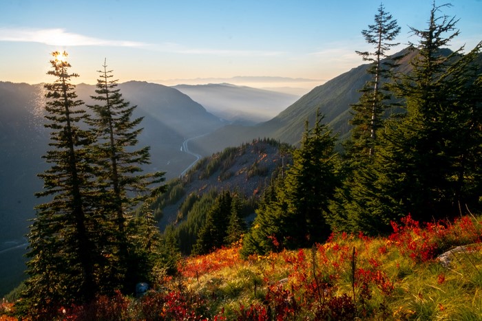 Mountain valley with evergreen trees and autumn foliage