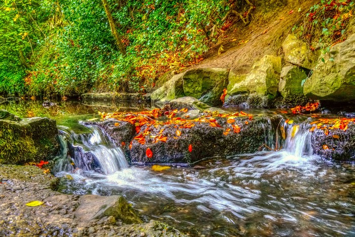 Autumn stream with fallen leaves and rocks