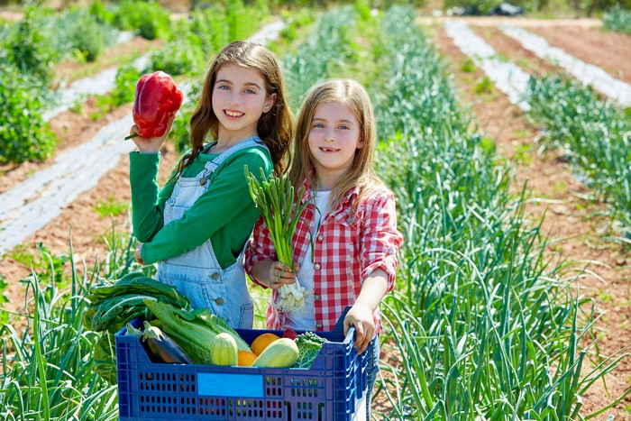 Two girls with fresh vegetables in a field