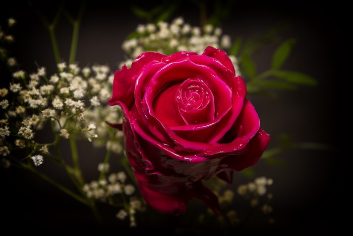 Red Rose with Baby's Breath