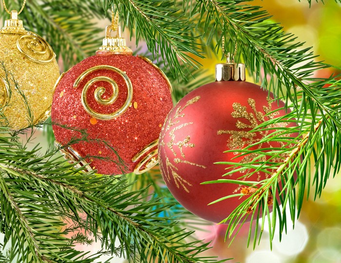 Christmas Tree Branches with Red and Gold Ornaments