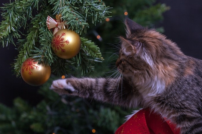 Cat playing with Christmas tree ornaments