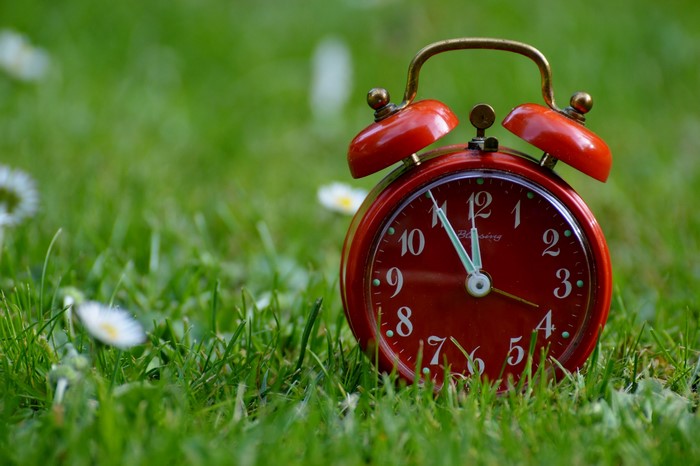 Red alarm clock on green grass with daisies