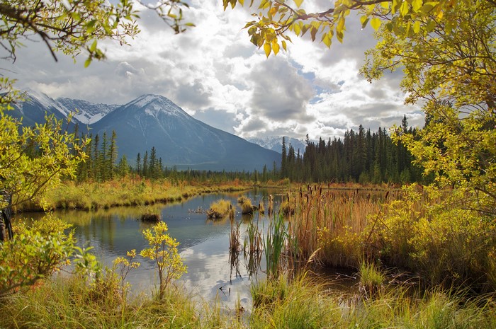 Vermilion Lakes in Canada with Mountains and Autumn Scenery