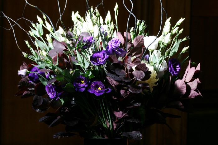 Purple and white flowers with dark leaves