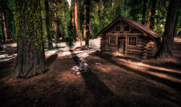 Log cabin in a forest with snow patches