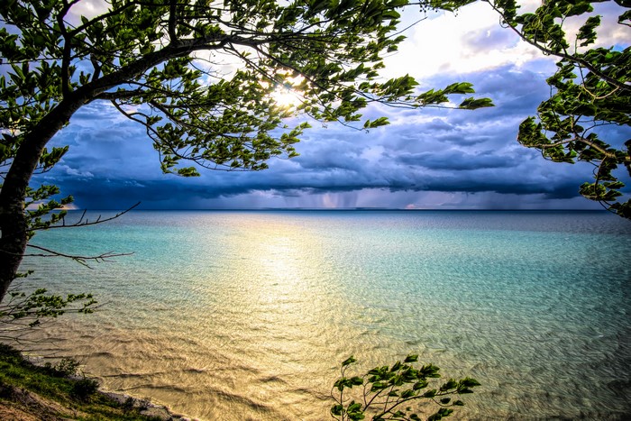 Lake Michigan with Stormy Clouds and Tree Branches