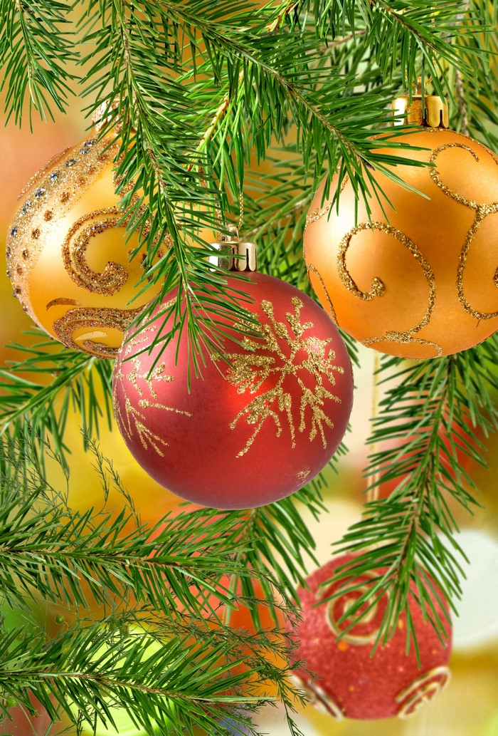 Christmas ornaments on a fir tree