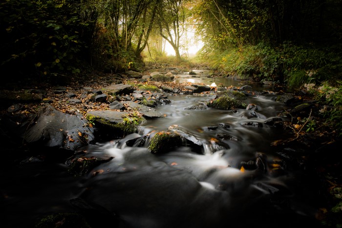 Stream flowing over stones in an autumn forest