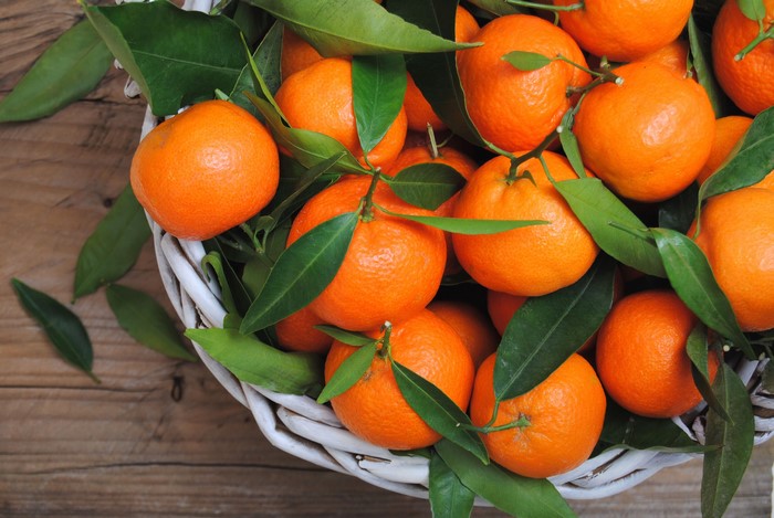 Basket of fresh tangerines with green leaves