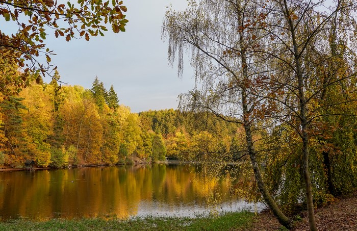 Autumn lake with colorful trees in Warteberg, Saxony, Germany