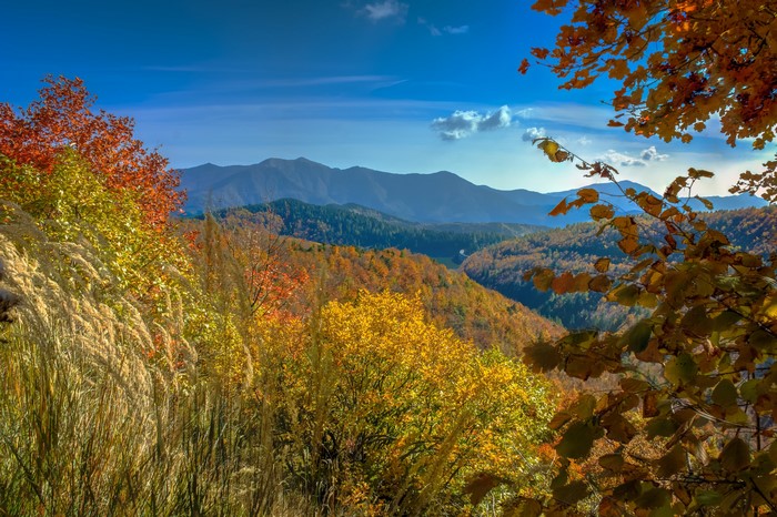 Autumn mountain landscape in Realdo, Italy