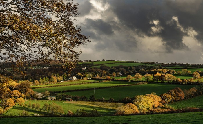 Autumn landscape in Luckett, Cornwall, England with rolling green fields and trees