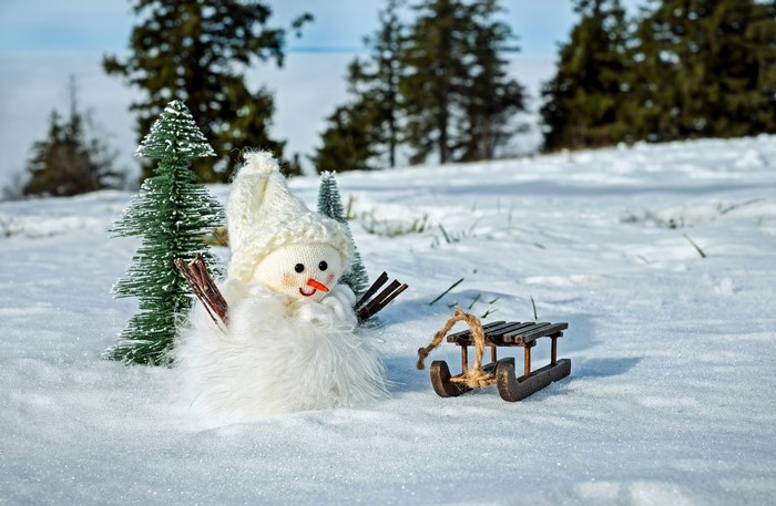 Snowman with sled and Christmas trees in snow