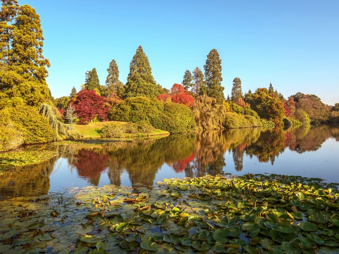 Autumn foliage reflected in a pond at Sheffield Park, England