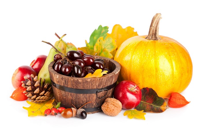Autumn harvest still life with pumpkin, grapes, apples, and pine cone